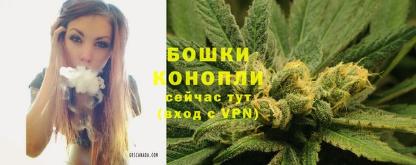 PSILOCYBIN Кукмор